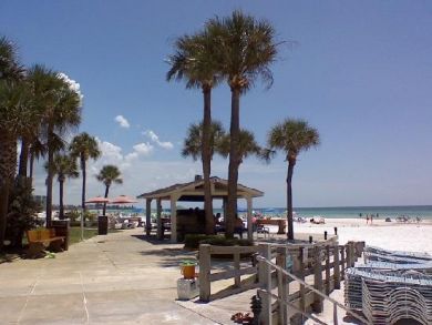 beach at condo on siesta key